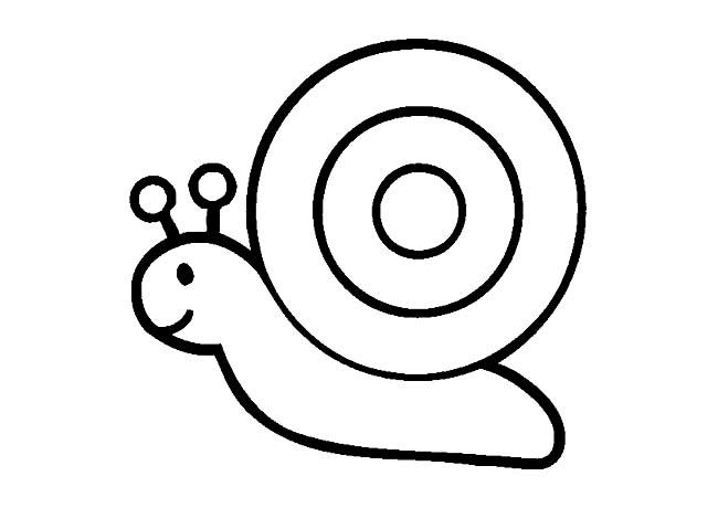 簡(jiǎn)筆畫的蝸牛和葉子