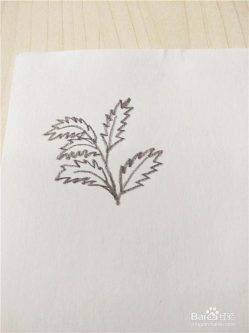 大片艾草簡(jiǎn)筆畫